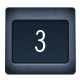 Level 3