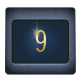 Level 9